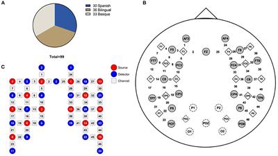 Studying hemispheric lateralization of 4-month-old infants from different language groups through near-infrared spectroscopy-based connectivity